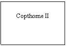 Zone de Texte: Copthorne II
